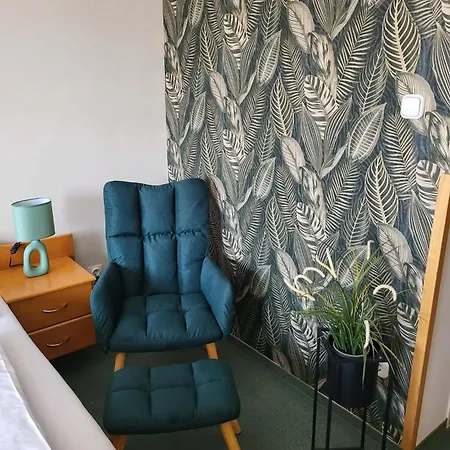 威尔迪酒店 3* 杰尔